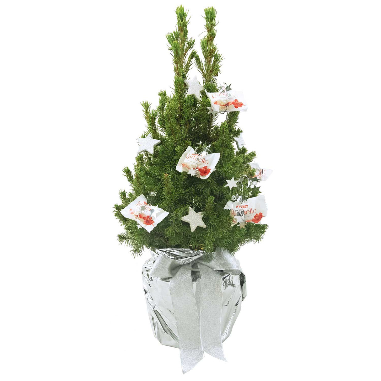 Weihnachtsgeschenk für Kunden - Schokotraum Naturweihnachtsbäumchen