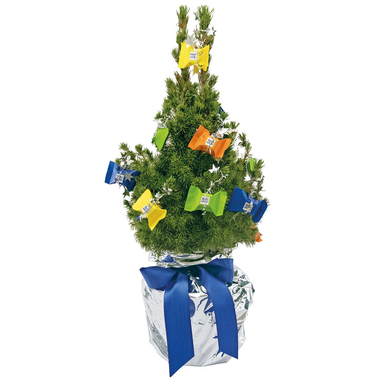 Weihnachtsgeschenk für Kunden - Schokotraum Naturweihnachtsbäumchen