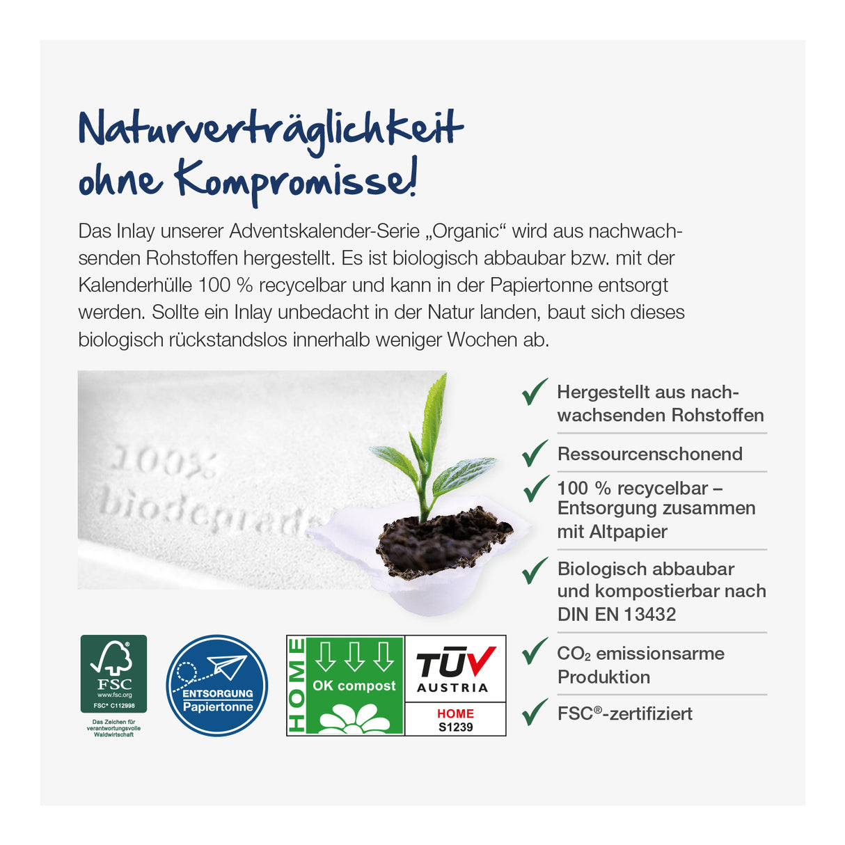 Adventskalender „Individuelle Kalenderform“