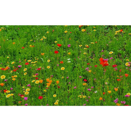 Buntes Osterpaket Necto