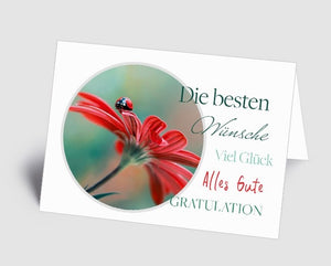 Grusskarte Glückskäfer