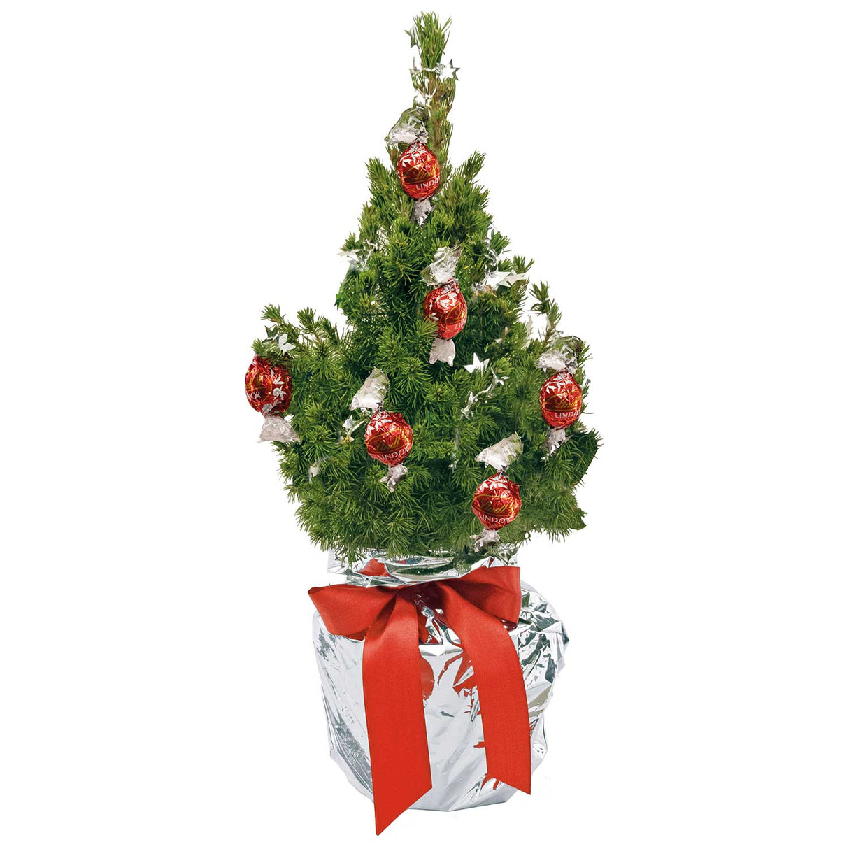 Schokotraum-Naturweihnachtsbäumchen